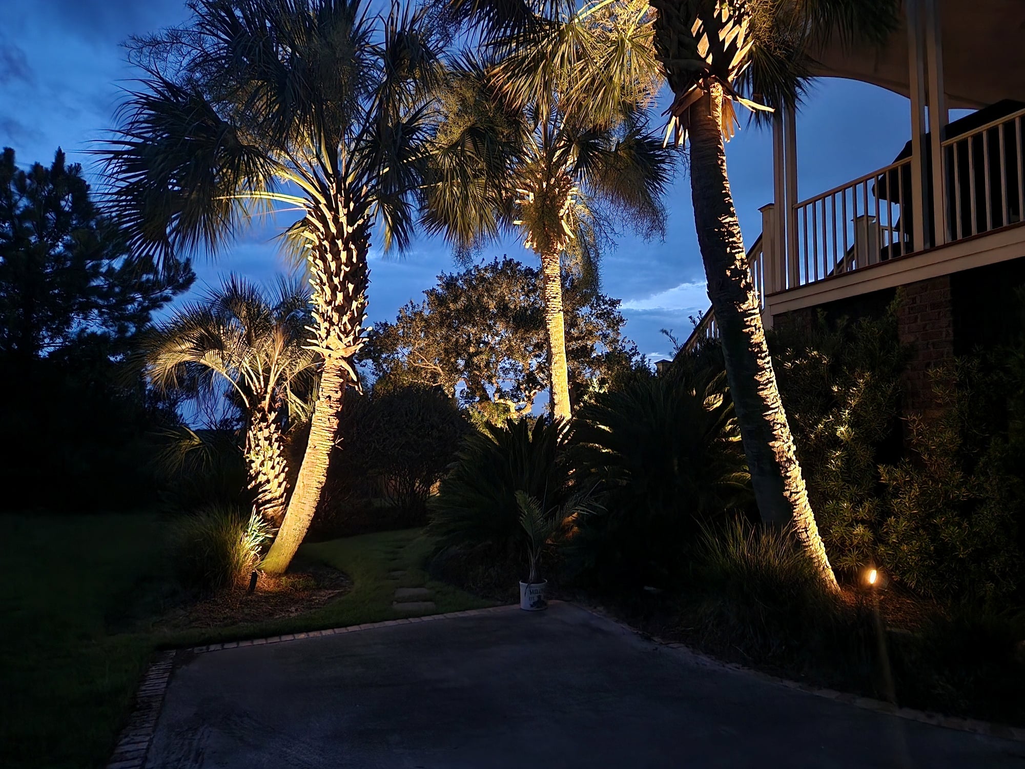 Three tall palm trees uplighted with warm amber landscape lights along a paved driveway at dusk, with a deep blue twilight sky and a residential deck visible on the right.