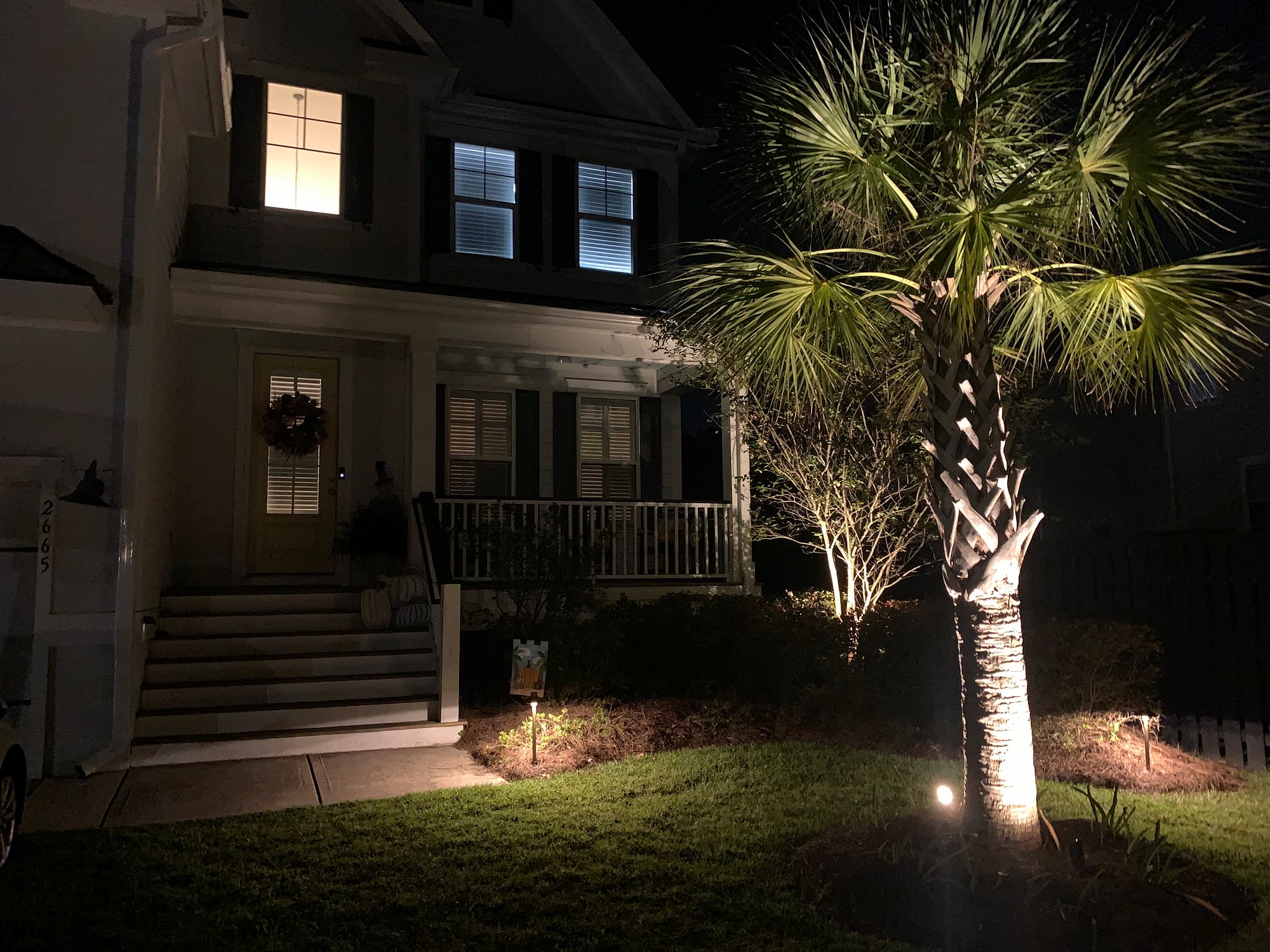 Night photo of a two-story coastal-style home with landscape lighting: a tall sabal palm dramatically uplighted in warm white, ground-level path lights illuminating the lawn, and accent lights on the front porch steps and entry.