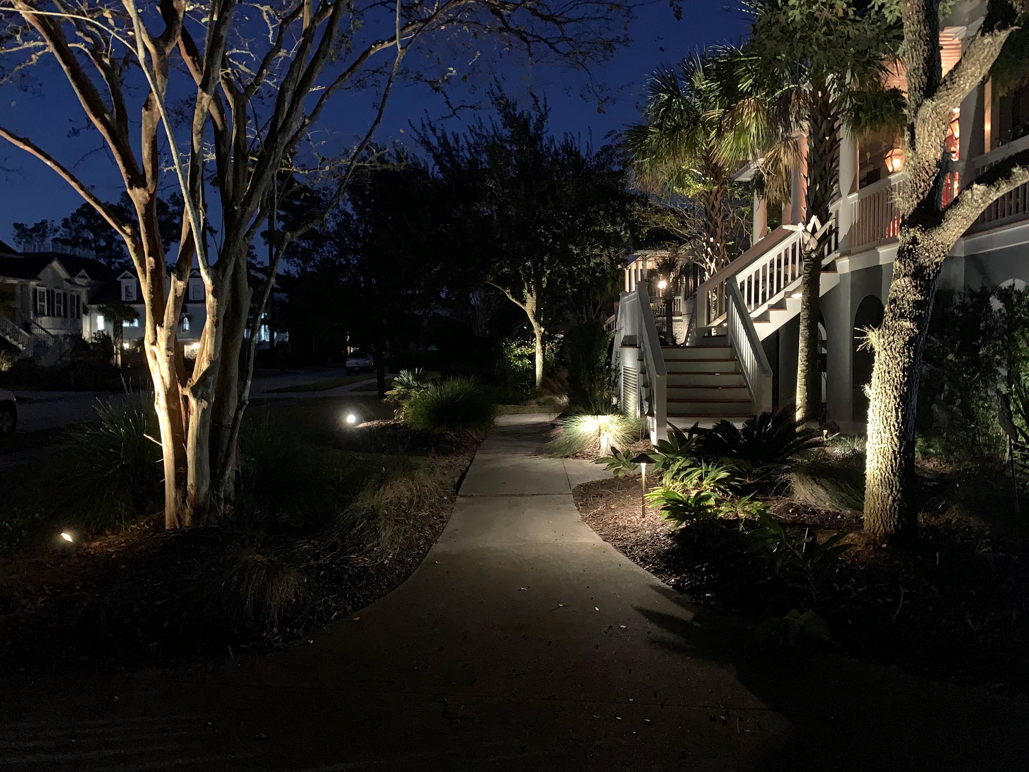Night landscape lighting scene along a curved concrete walkway lined with uplighted crape myrtle trees and bollard path lights, leading to a raised coastal home with stair lighting, under a deep blue twilight sky.