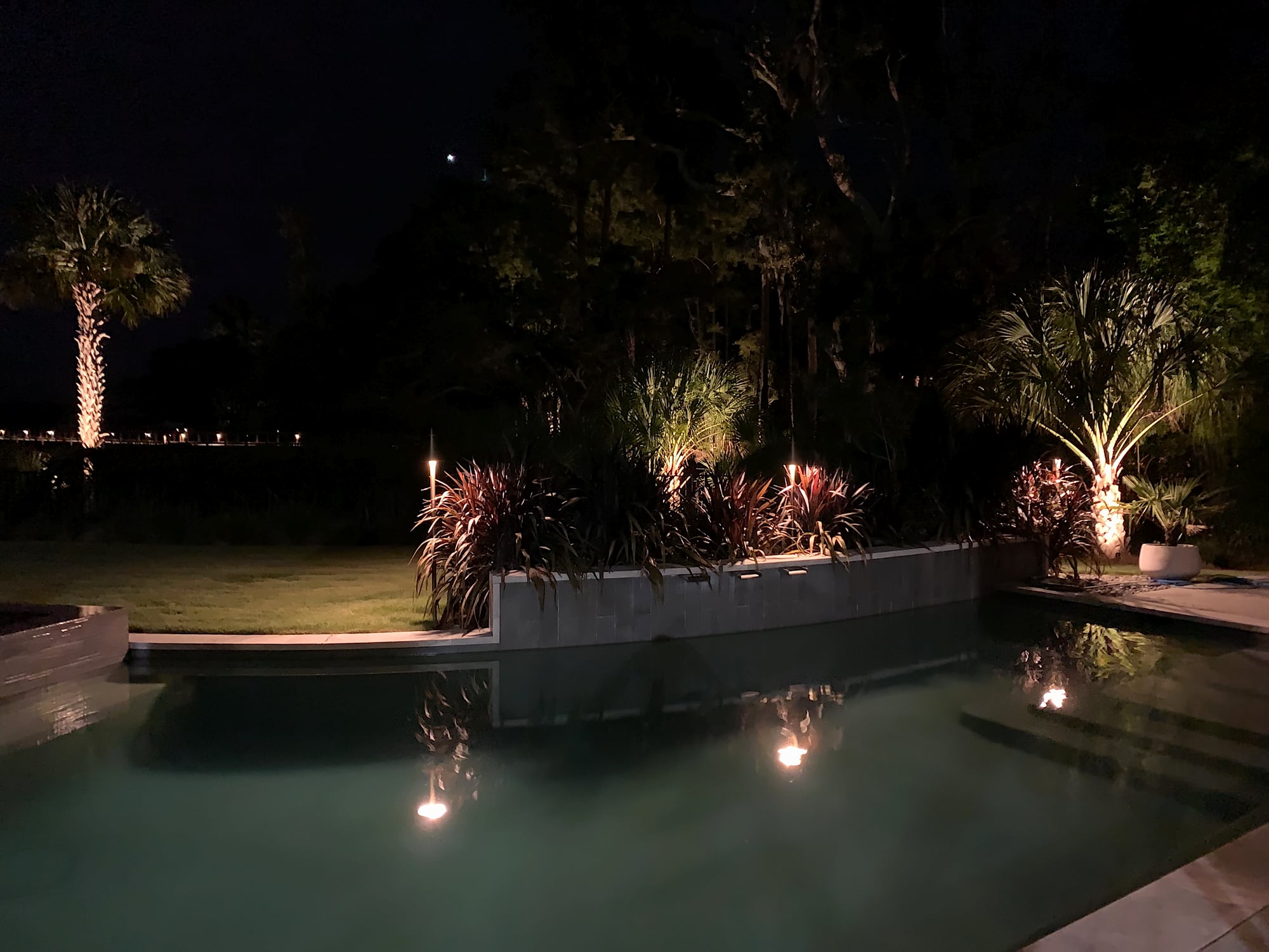 Night landscape lighting installation around a modern rectangular pool, with warm uplights illuminating palm trees and red-leafed tropical shrubs, their reflections mirrored in the still water.