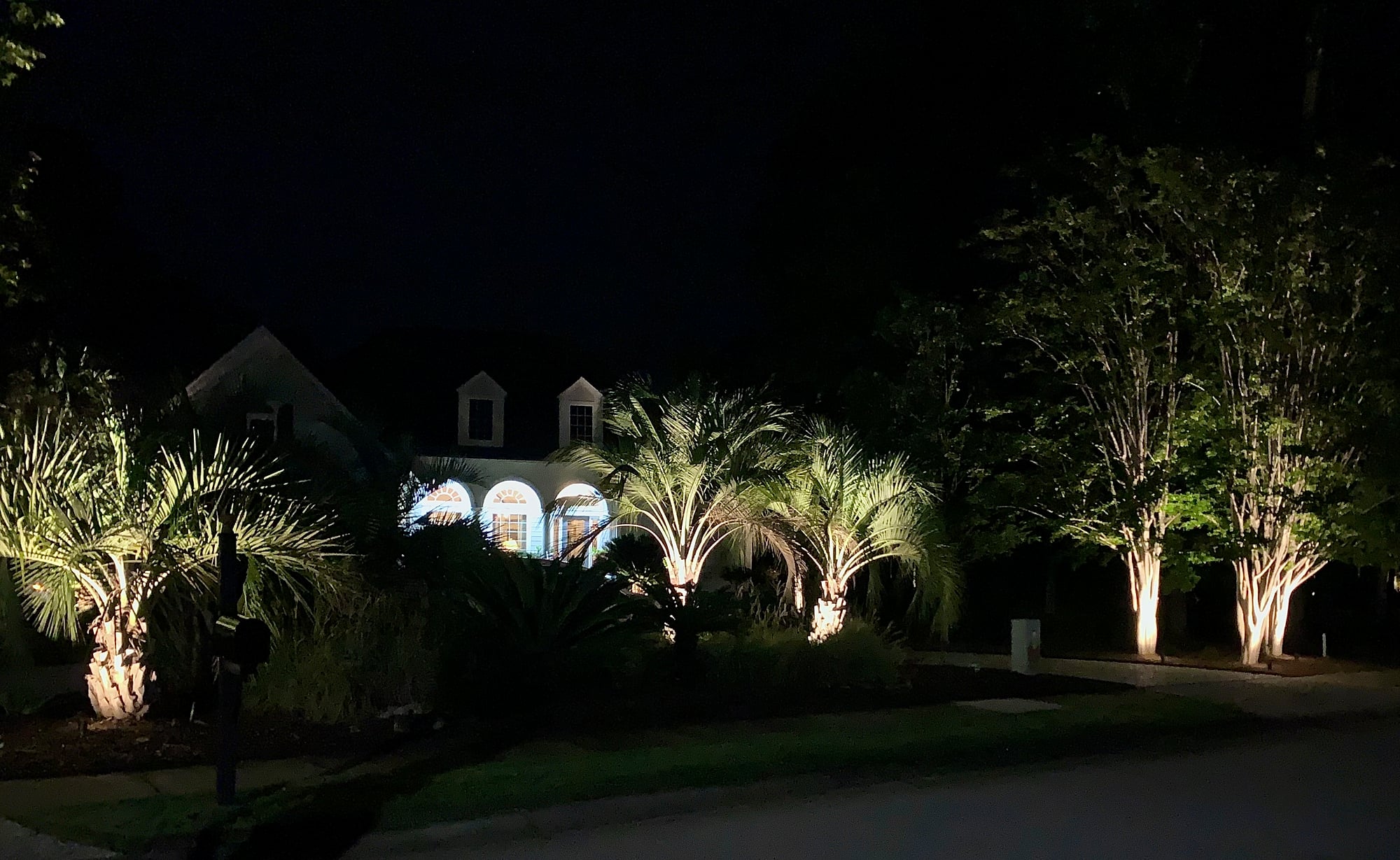 Night landscape lighting scene showing warm uplighting on palm trees and crape myrtles in front of a two-story home with illuminated arched porch, viewed from the street in darkness