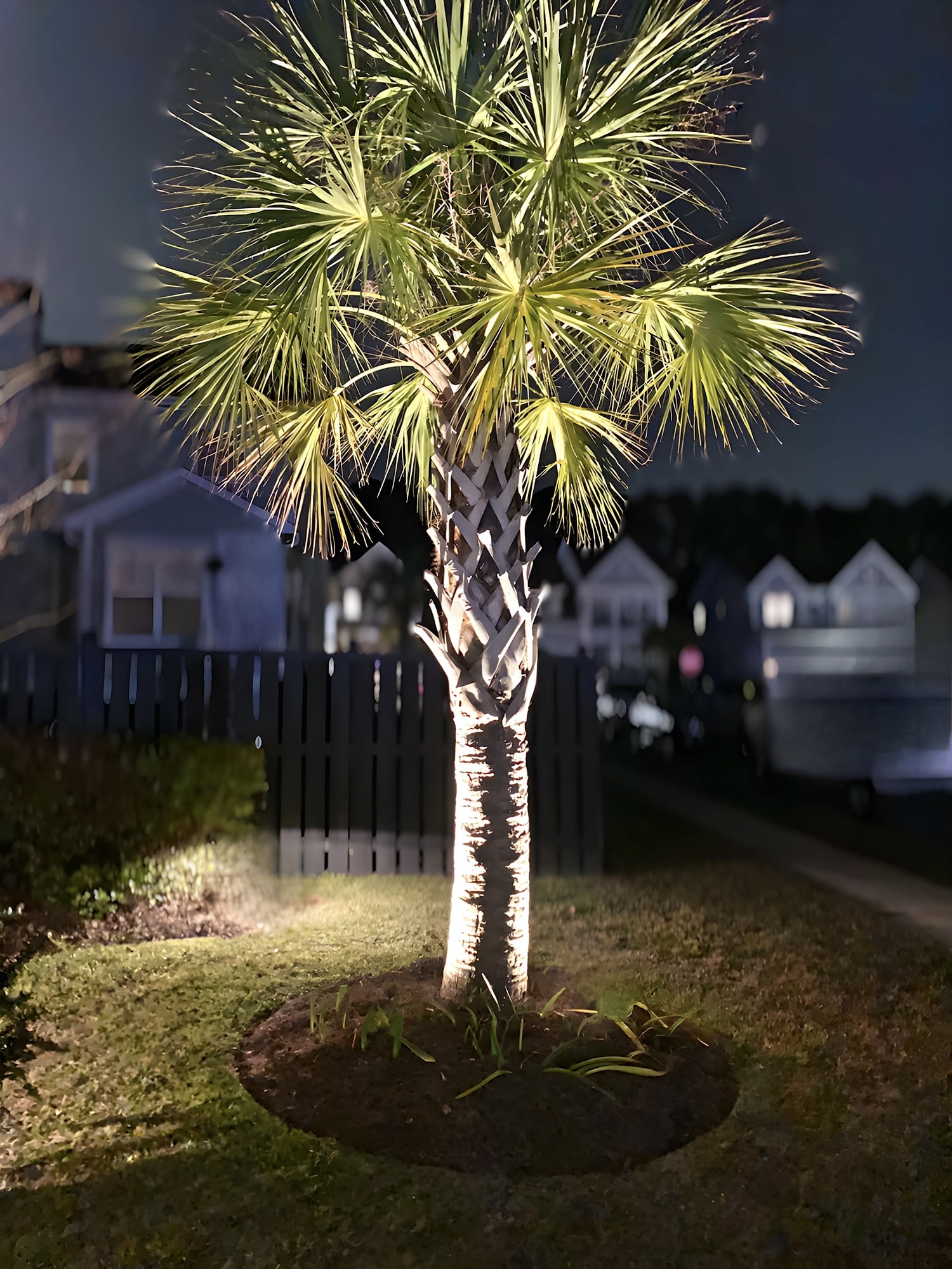 A palm tree dramatically uplighted at night by warm landscape lighting fixtures, illuminating the scaly trunk and splaying fronds against a dark blue suburban sky.
