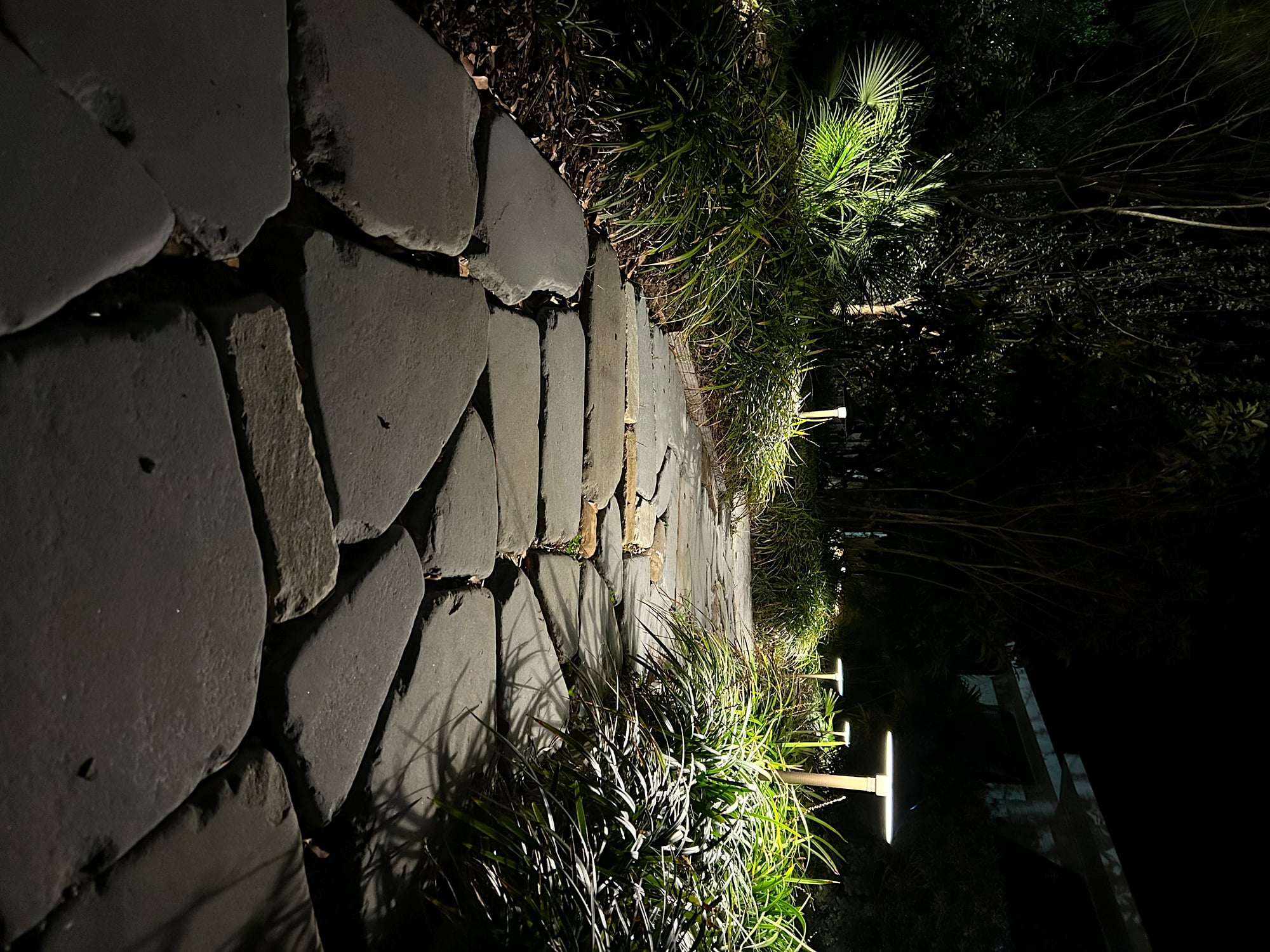 Night landscape lighting installation showing brass accent fixtures mounted along a stacked-stone retaining wall, casting warm light on ornamental grasses and tropical plants in a residential garden bed